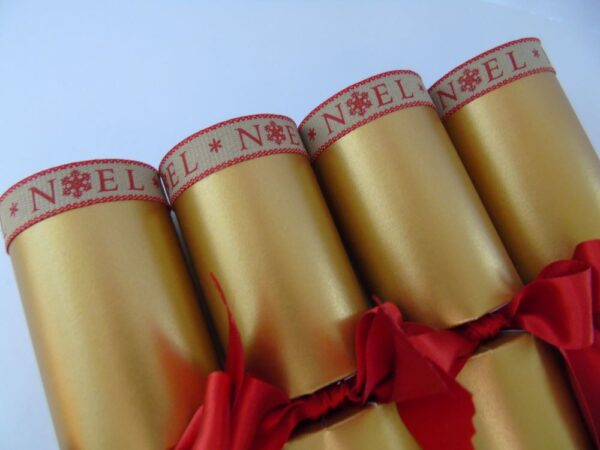 Festive Fill Your Own Christmas Crackers - Image 4